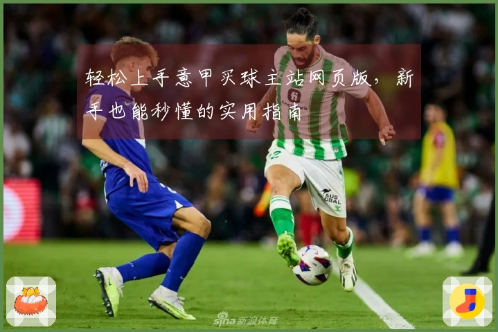 轻松上手意甲买球主站网页版，新手也能秒懂的实用指南