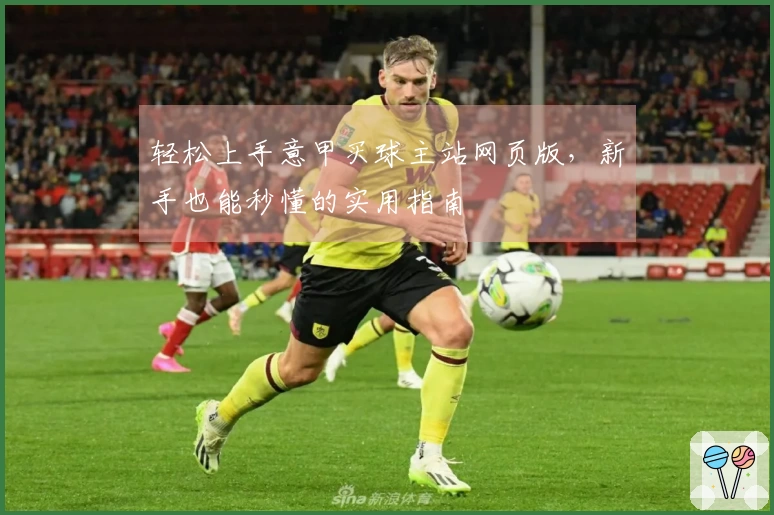 轻松上手意甲买球主站网页版，新手也能秒懂的实用指南