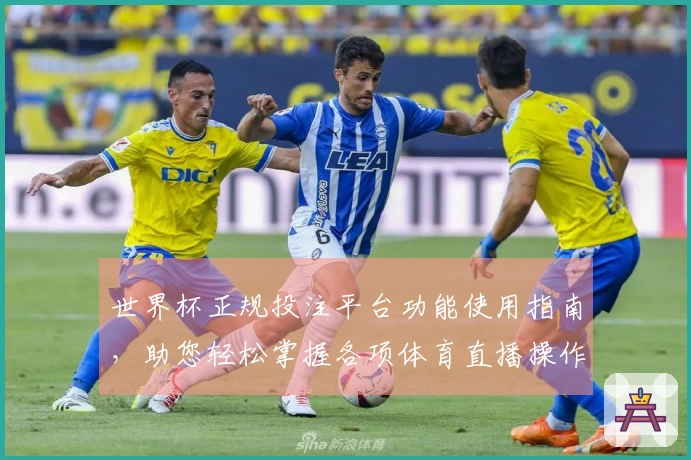 世界杯正规投注平台功能使用指南,助您轻松掌握各项体育直播操作