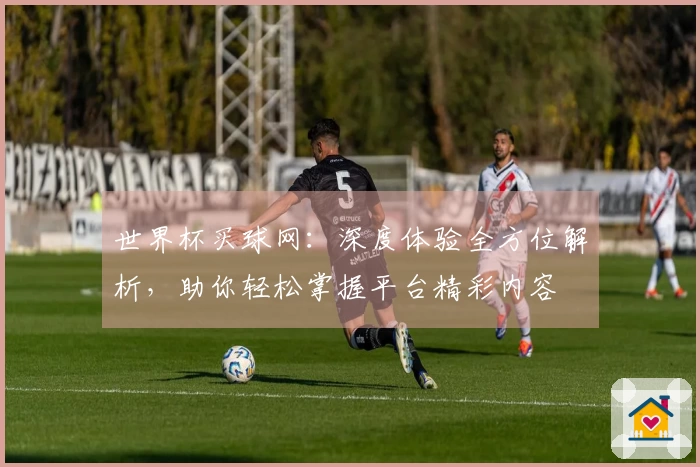 世界杯买球网：深度体验全方位解析，助你轻松掌握平台精彩内容