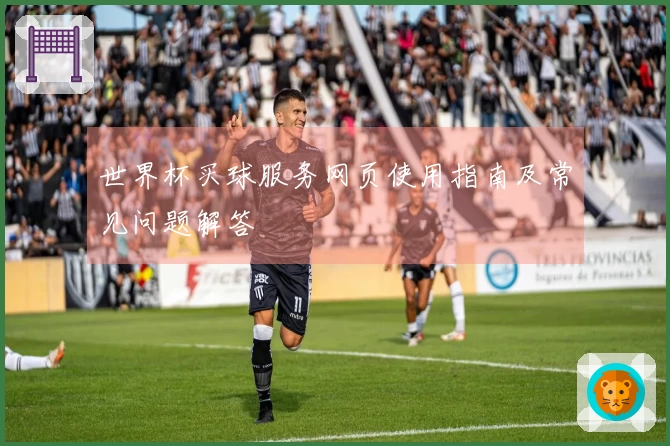 世界杯买球服务网页使用指南及常见问题解答