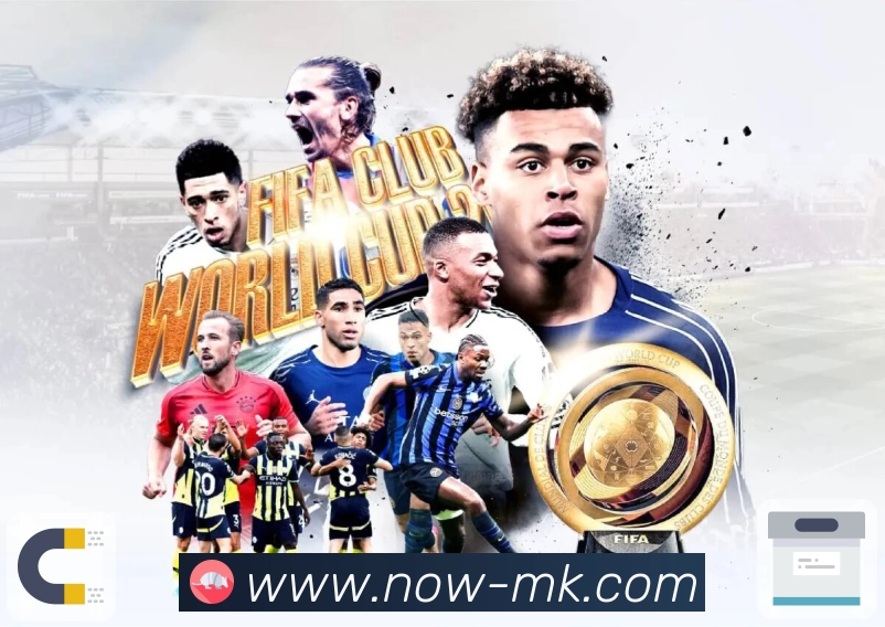 MK体育APP 封面图